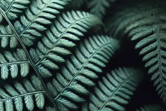 fern leaves.